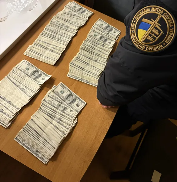 Через Волинську митницю жінка намагалась незаконно провезти майже 1,6 млн грн