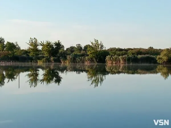 Щука, короп, товстолоб, форель: як на Волині вирощують сотні тонн риби (фото)