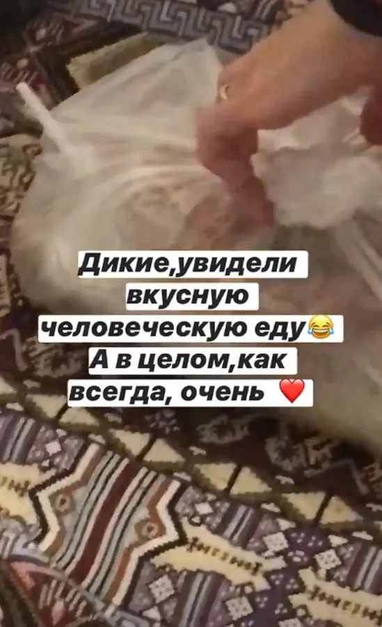 Піца, Мортал Комбат і хулахуп: модель показала карантинні будні у Нових Санжарах