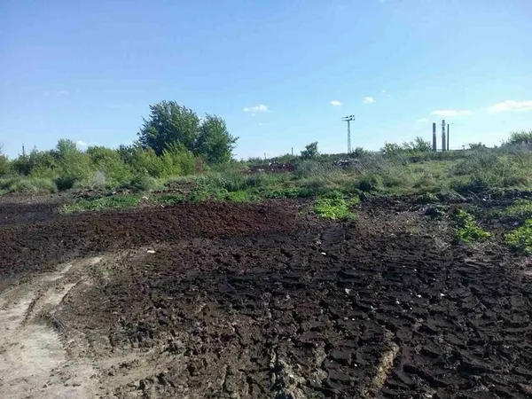 Сморід на Львівській: знайшли ще одну причину (фото) 