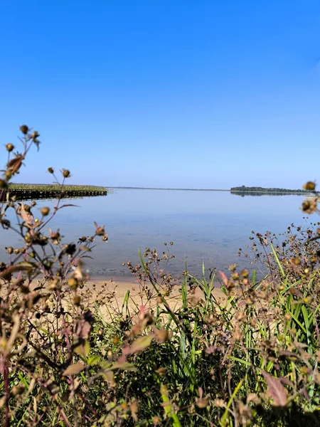Майже нема людей: як минає оксамитовий сезон на Світязі (фото)