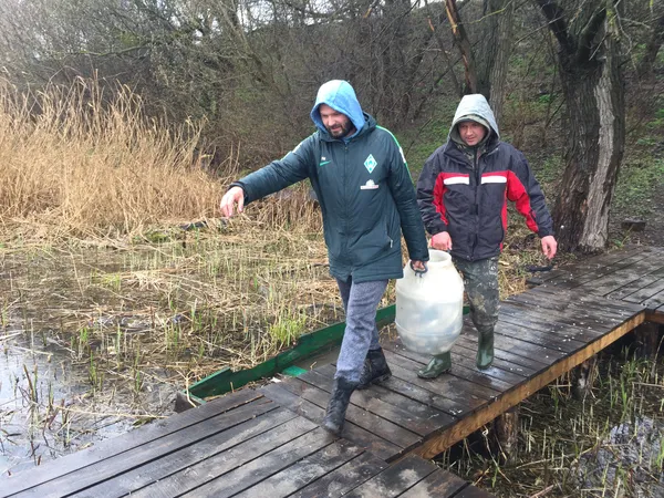 В Жидичині у Стир запустили 124 екземпляри білого амура (фото)