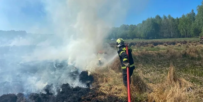На Волині пожежа із сухостою перекинулася на торфовище (фото)