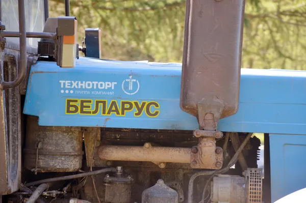 Як на Волині з лісу «роблять» гроші (фото)