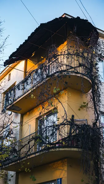 Трохи сонця, кольорів і тепла: листопад на вулицях Луцька (фото)