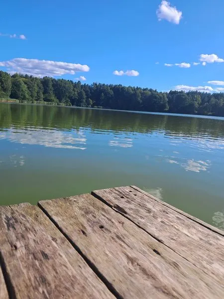 У лісі на Волині є кришталево чисте озеро з підземним джерелом (фото)