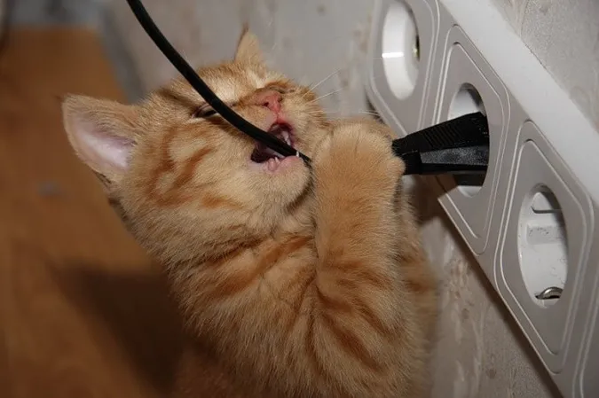 Де у Луцьку не буде світла у понеділок, 15 листопада