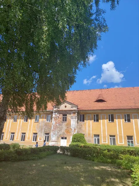 На території Олицького замку вперше за багато років провели фестиваль (фото)