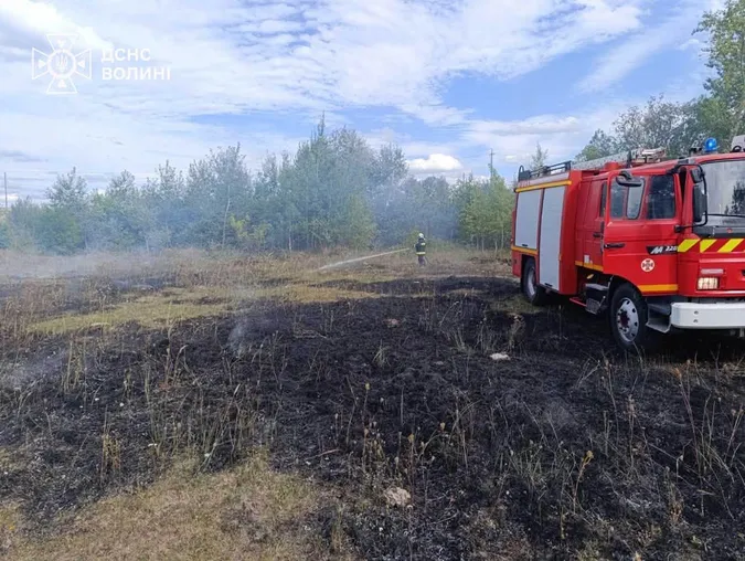 Вогонь охопив суху траву та торф: за добу на Волині сталося три займання