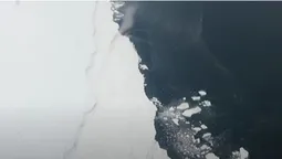 Опублікували відео айсберга, який розміром з Лондон (відео)