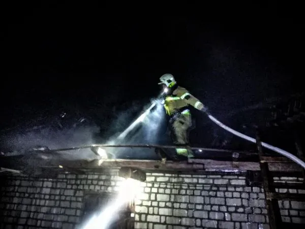Луцькі рятувальники звільнили дорогу від поваленого вітром дерева (фото)