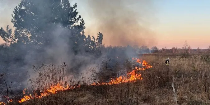 На Волині – масштабні пожежі в екосистемах: в чому причина (фото)