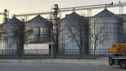 Волинське борошно їде в Європу: на підприємстві «Вілія» переробляють до 150 тонн зерна на добу