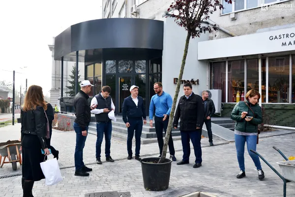 У Луцьку озеленили сквер біля «Бенедикту» (фото)