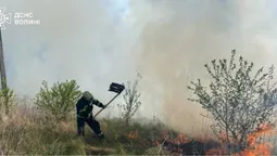 У Ковелі вогонь із сухостою перекинувся на деревʼяний будиночок (фото)