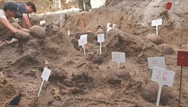 У Волі Островецькій на Волині завершили ексгумаційні роботи – виявили останки 48 людей