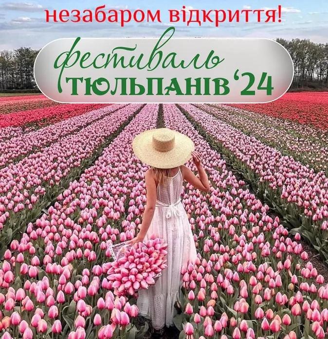 Незабаром відкриття фестивалю тюльпанів у «Волинській Голландії»: скільки тепер коштує квиток (фото)