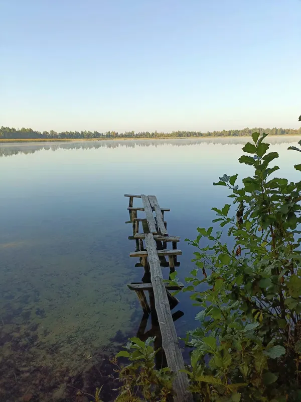 Дуже глибоке і з рибою: показали затуманене озеро на Волині (фото)