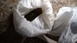 У Луцьку знайшли підпільний цех з обробки бурштину (фото)