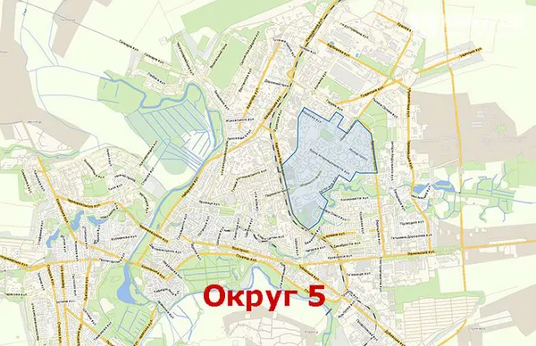Вибори в Луцьку: скільки голосів отримав кожен кандидат в депутати