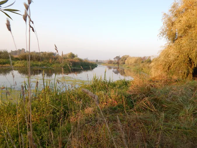 🍂 Мережу зачарували барви осені над Стоходом (фото)