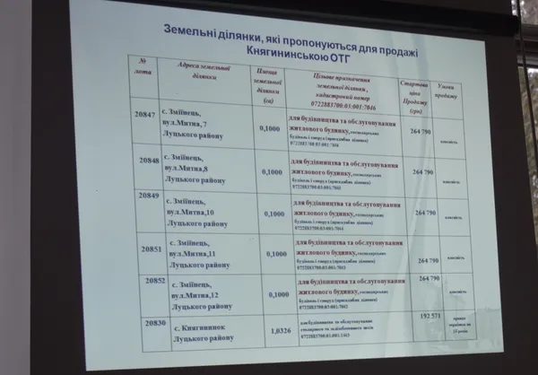 Приклад, як землю продають на аукціоні у Княгининівській ОТГ