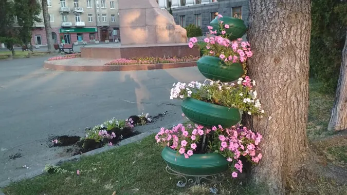 У Луцьку біля головного корпусу СНУ знищили квітники (фото)