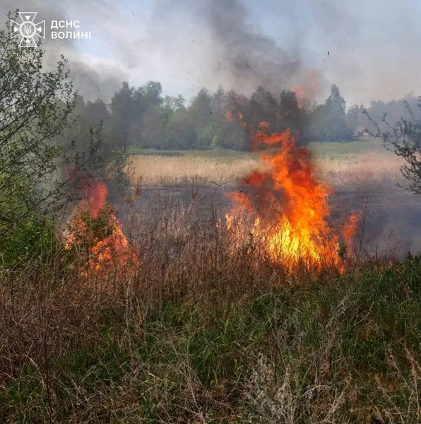 На Волині палали два величезні торфовища (фото)