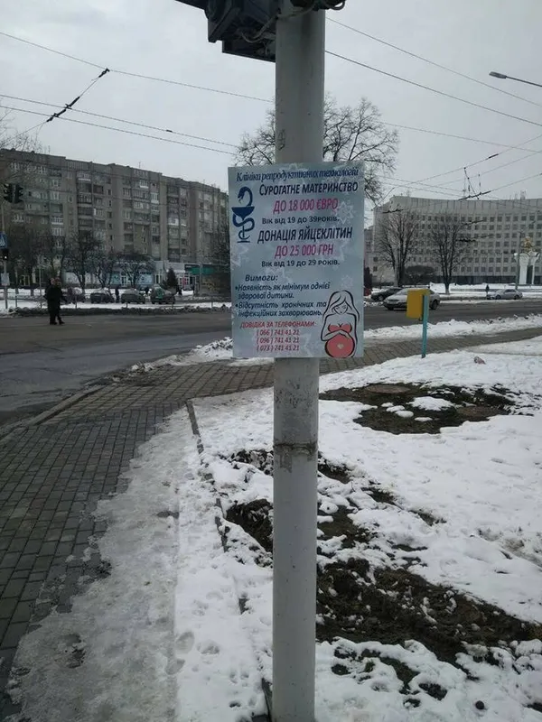 У Луцьку на стовпах рекламують сурогатне материнство (фото)