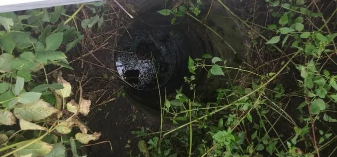 Луцьке підприємство скидає тушки мертвих тварин поблизу міста