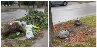 Сміття просто на вулиці: у Луцьку скаржаться на стихійні звалища (відео)