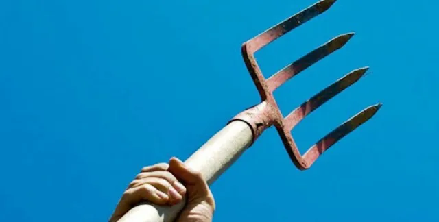 На Волині чоловік побив сусіда, який прийшов на «розбірки» з вилами