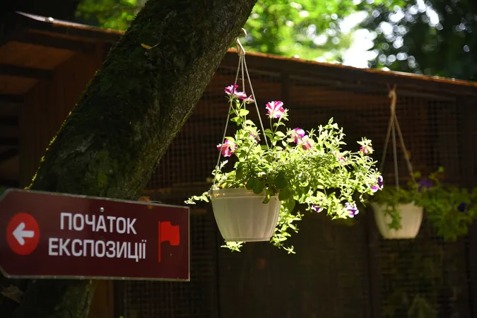 У Луцькому зоопарку «зловили» на камеру відвідувачів та сезонне озеленіння (фото)