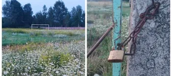 «У хащах бігають лисиці»: у Старій Вижівці обурилися занедбаним стадіоном (фото)