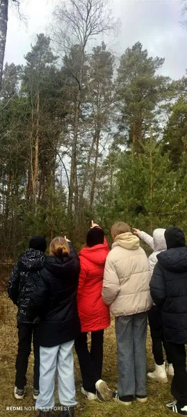 У нацпарку на Волині росте природний феномен з вишнево-коричневою корою (фото)