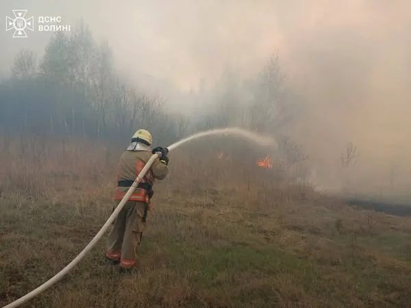 На Волині вогонь випалив 34 гектари сухої трави, чагарників та очерету (фото)