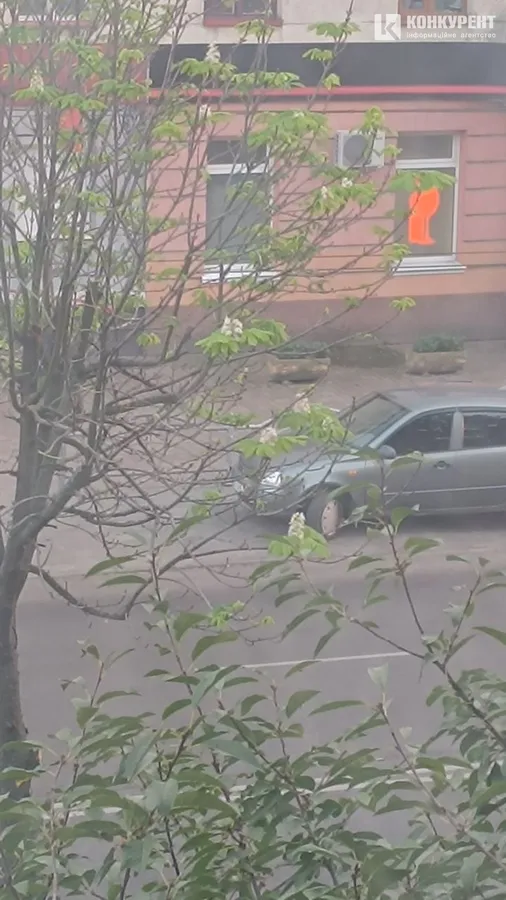 Природна аномалія: в осінньому Луцьку розцвів каштан (фото)