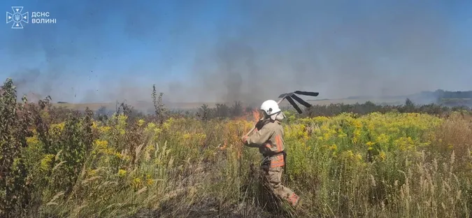 Вогонь охопив понад 4 гектари: на Ковельщині після пожежі знайшли винуватця (фото)