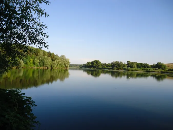 Ставок на Волині повернули державі