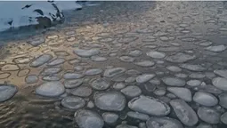 Полярники в Антарктиці натрапили на рідкісне явище: яке саме (фото)