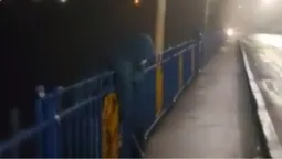 Врятував перехожий: у Луцьку жінка хотіла стрибнути з мосту (відео)