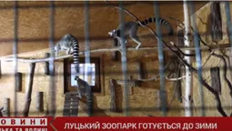 Луцький зоопарк готується до зими (відео)