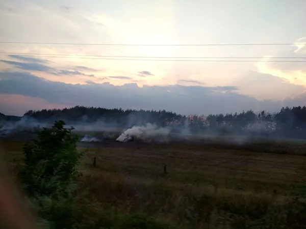 Припиніть палити суху траву та листя! (фото)