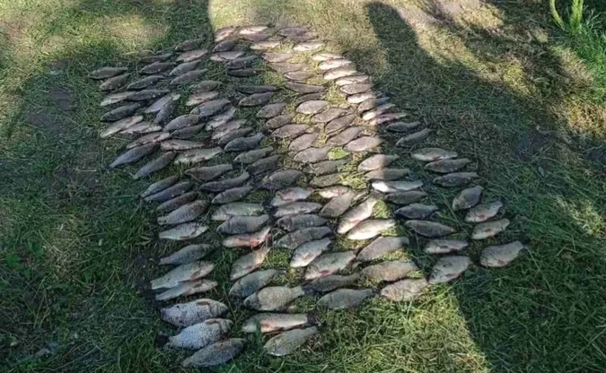 На Волині браконьєри наловили риби на майже 200 тисяч гривень (фото)