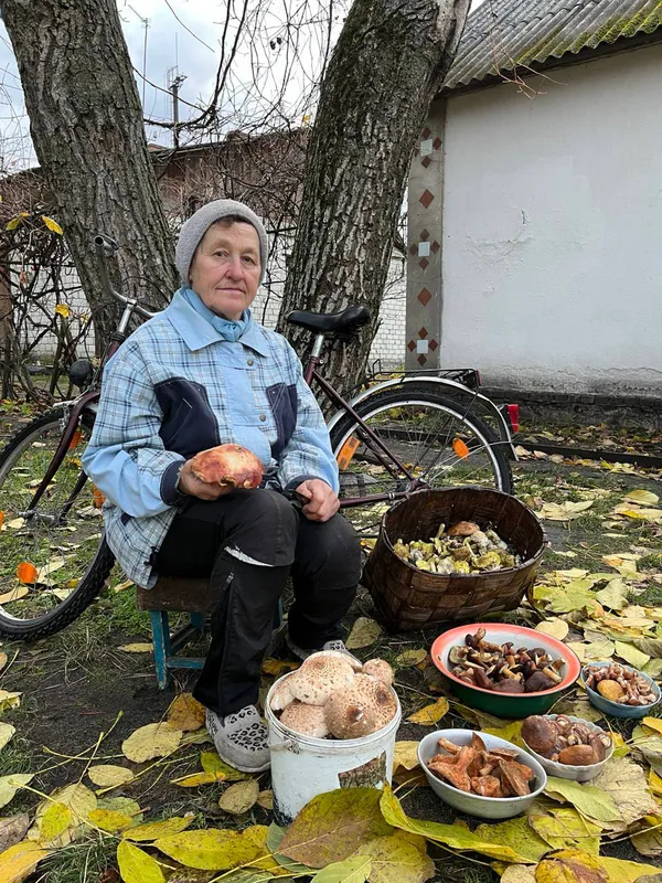 І навіть дикі кабани не зупинили: як 70-річна волинянка полює на гриби