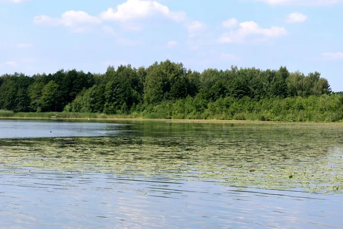 На Волині перевірили озеро Велике Чорне: що показали аналізи води (фото)
