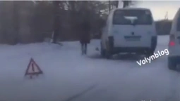 На Волині бус врізався в дерево (відео)