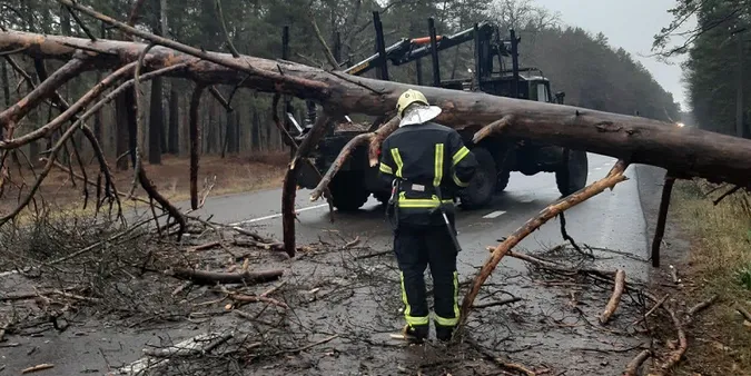 У Луцькому районі вітер повалив на дорогу здоровенне дерево (фото)