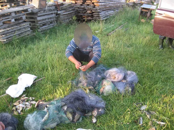 «Червонокнижний» улов: на Волині браконьєри «нарибалили» на майже 30 тисяч гривень (фото)