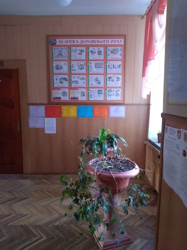 Освіта в тренді: Луцький НВК №9
